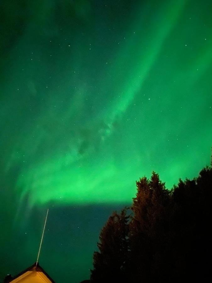 Lyngen, Mackay Appartment, Lyngen Lyngseidet Екстериор снимка