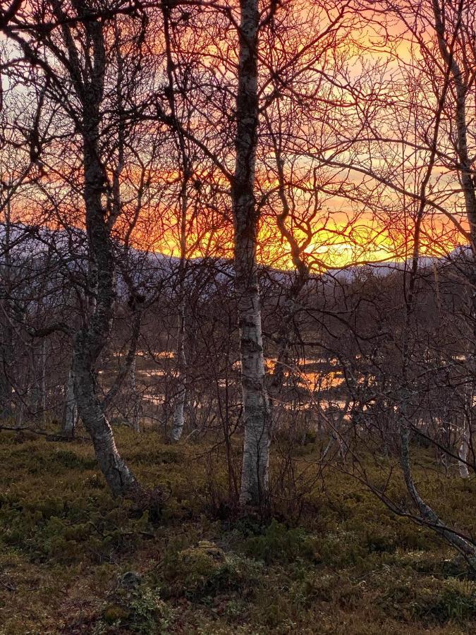 Lyngen, Mackay Appartment, Lyngen Lyngseidet Екстериор снимка