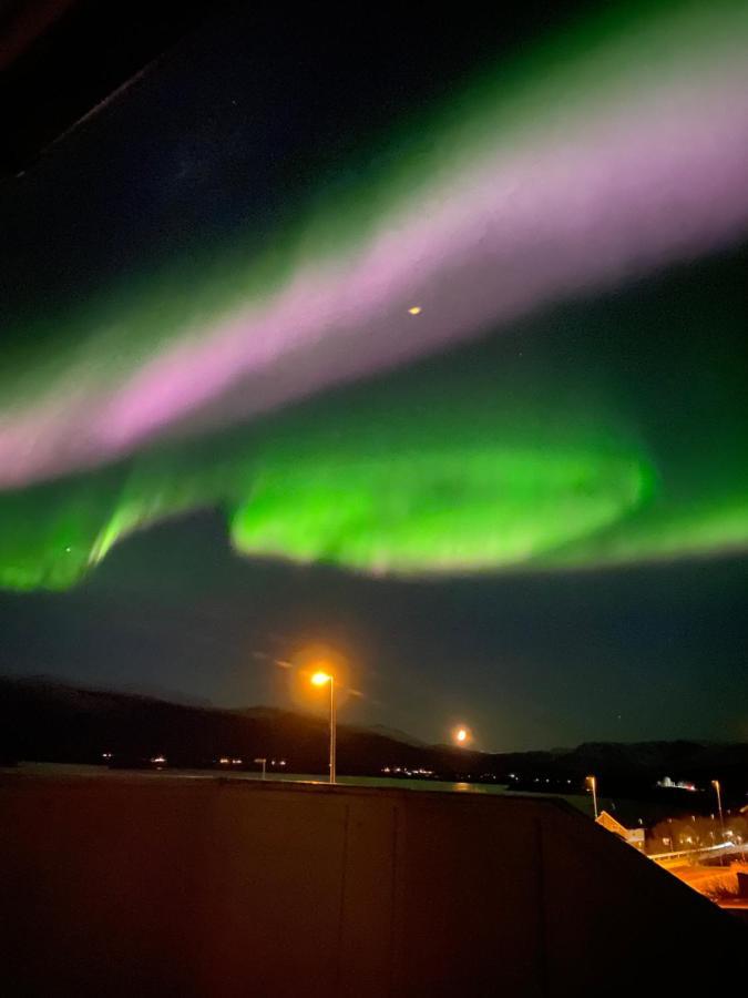 Lyngen, Mackay Appartment, Lyngen Lyngseidet Екстериор снимка