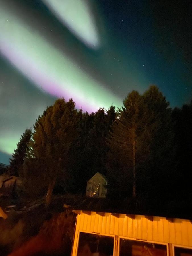Lyngen, Mackay Appartment, Lyngen Lyngseidet Екстериор снимка